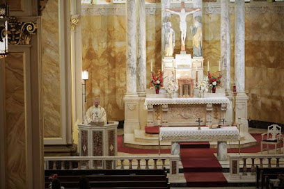 Holy Cross Blessed Sacrament Our Lady of the Divine Shepherd