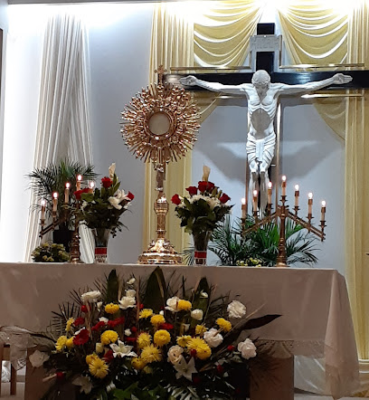 Iglesia Catolica Nuestra Señora del Monte Carmelo, Joliet