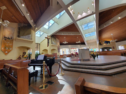 Queen Of Peace, Aurora