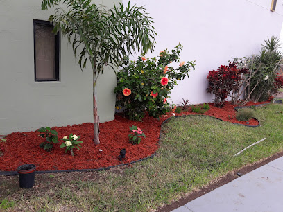 Iglesia Luz de la Vida