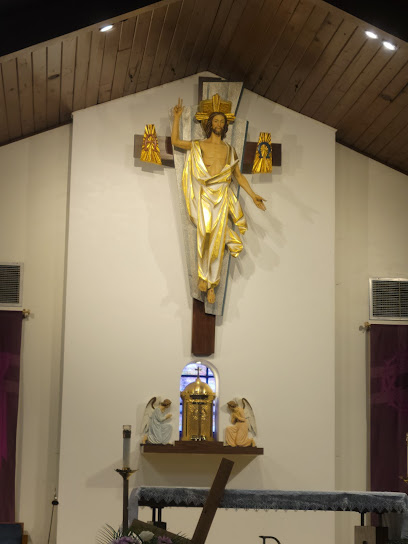 Our Lady of San Juan de los Lagos - Santa Teresita