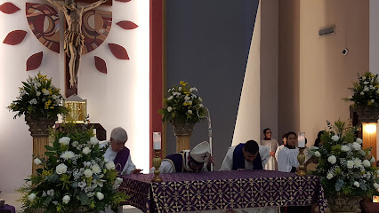 Mary Mother of the Church