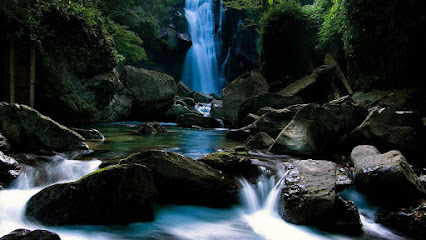 Primera Iglesia Cristiana Manantial de Vida
