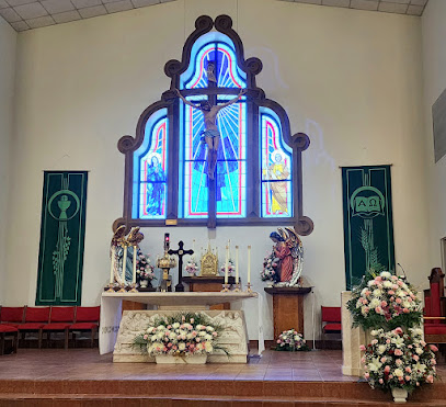 Our Lady of the Americas
